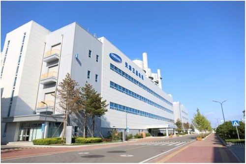參展商變投資商 進博會見證三星產業升級與五金交電轉型